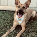 Nala